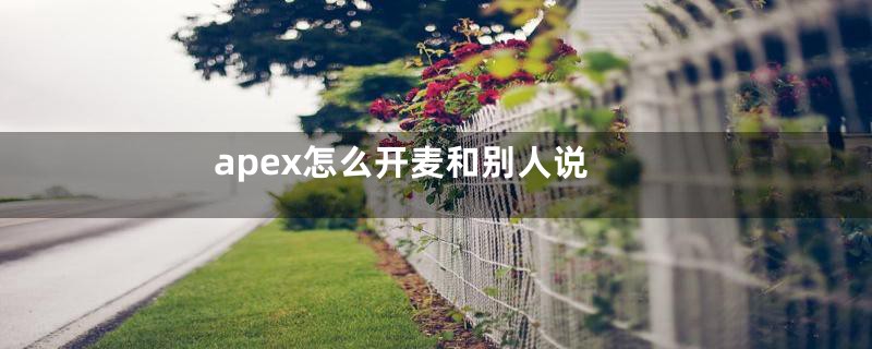 apex怎么开麦和别人说