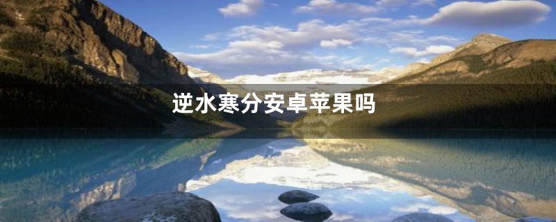 逆水寒分安卓苹果吗