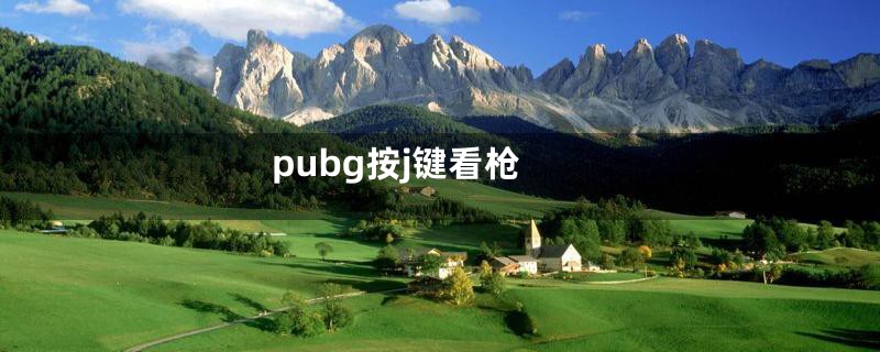 pubg按j键看枪