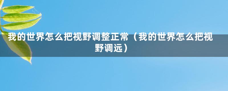 我的世界怎么把视野调整正常（我的世界怎么把视野调远）