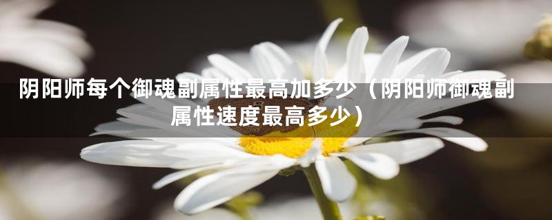 阴阳师每个御魂副属性最高加多少（阴阳师御魂副属性速度最高多少）