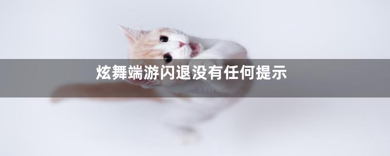 炫舞端游闪退没有任何提示