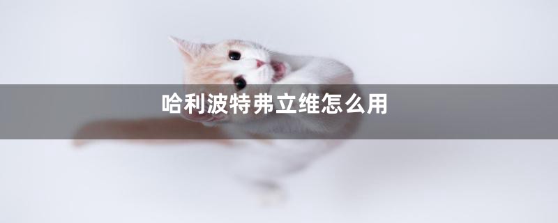 哈利波特弗立维怎么用