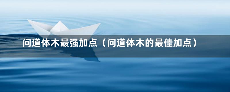 问道体木最强加点（问道体木的最佳加点）