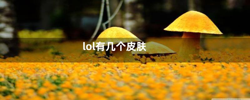 lol有几个皮肤