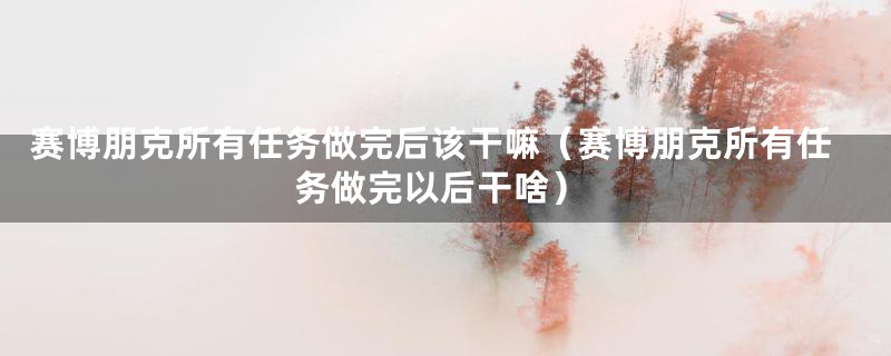 赛博朋克所有任务做完后该干嘛（赛博朋克所有任务做完以后干啥）