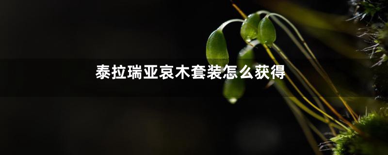 泰拉瑞亚哀木套装怎么获得