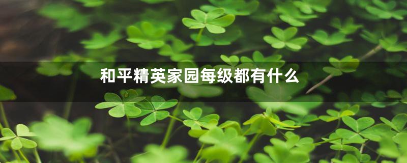 和平精英家园每级都有什么