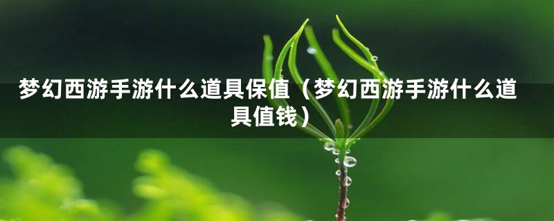 梦幻西游手游什么道具保值（梦幻西游手游什么道具值钱）