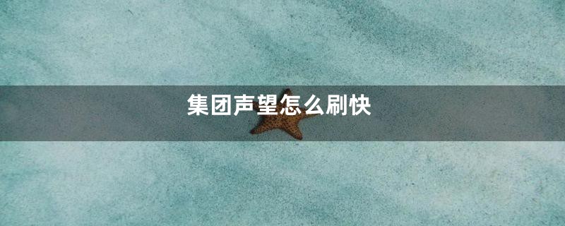 集团声望怎么刷快