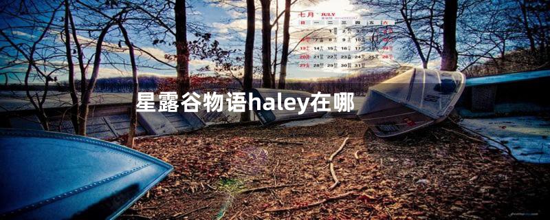 星露谷物语haley在哪