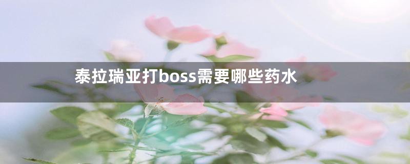 泰拉瑞亚打boss需要哪些药水