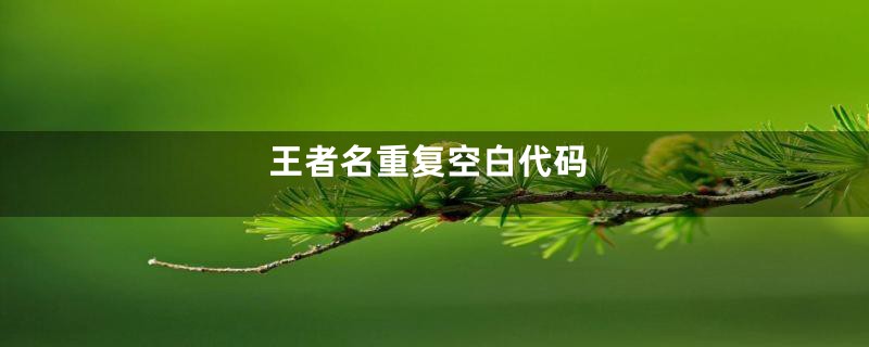 王者名重复空白代码