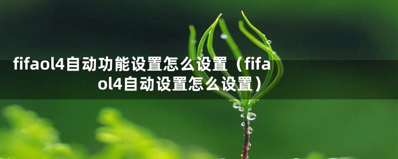 fifaol4自动功能设置怎么设置（fifaol4自动设置怎么设置）