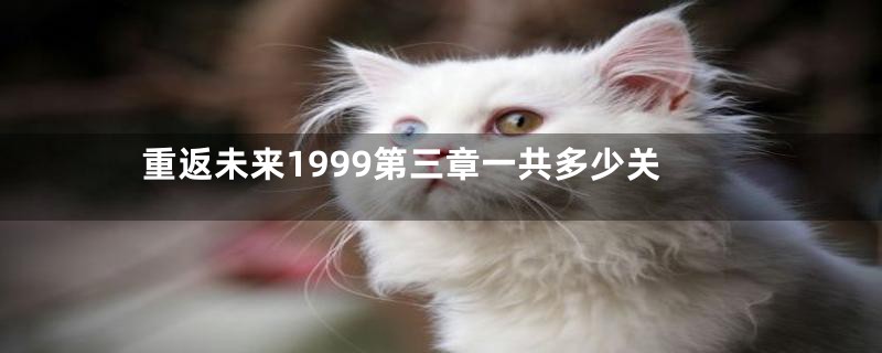 重返未来1999第三章一共多少关