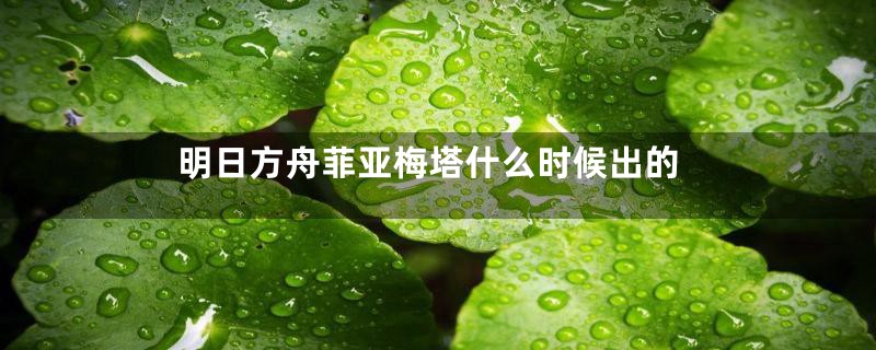 明日方舟菲亚梅塔什么时候出的