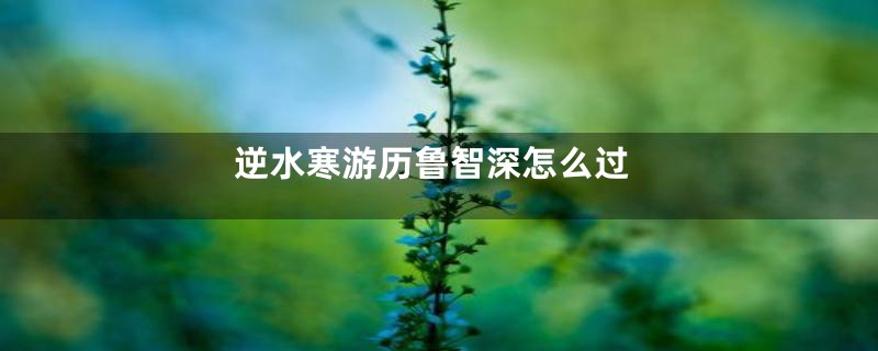 逆水寒游历鲁智深怎么过