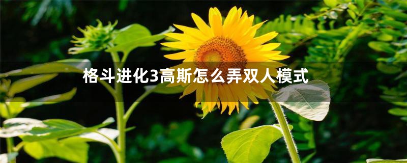 格斗进化3高斯怎么弄双人模式