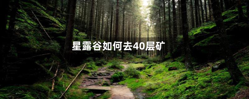 星露谷如何去40层矿