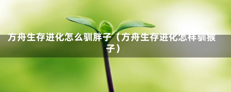 方舟生存进化怎么驯胖子（方舟生存进化怎样驯猴子）