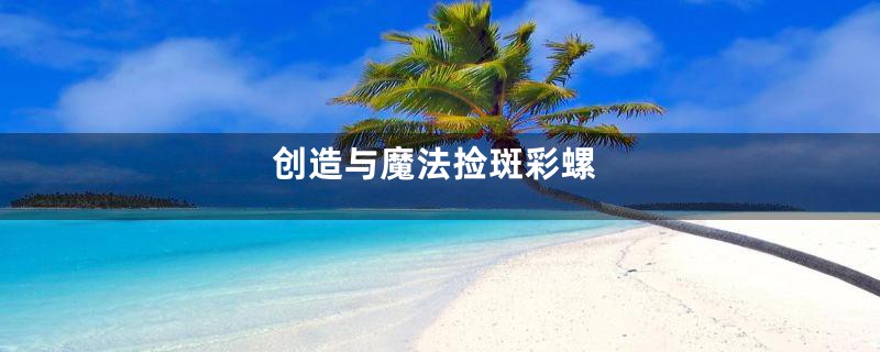 创造与魔法捡斑彩螺