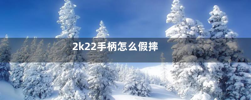 2k22手柄怎么假摔