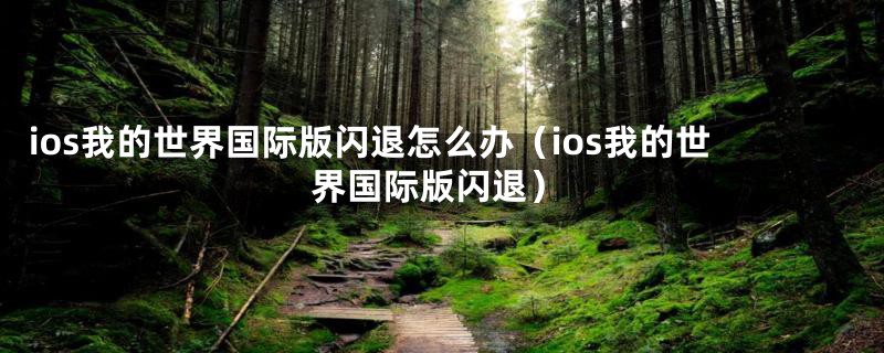 ios我的世界国际版闪退怎么办（ios我的世界国际版闪退）