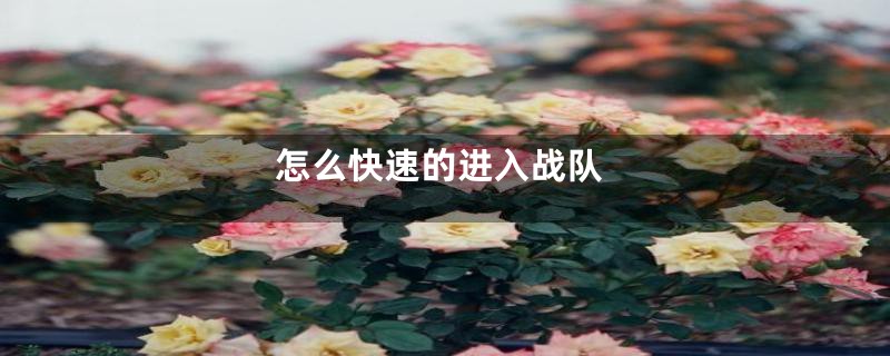 怎么快速的进入战队