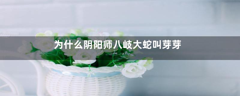 为什么阴阳师八岐大蛇叫芽芽