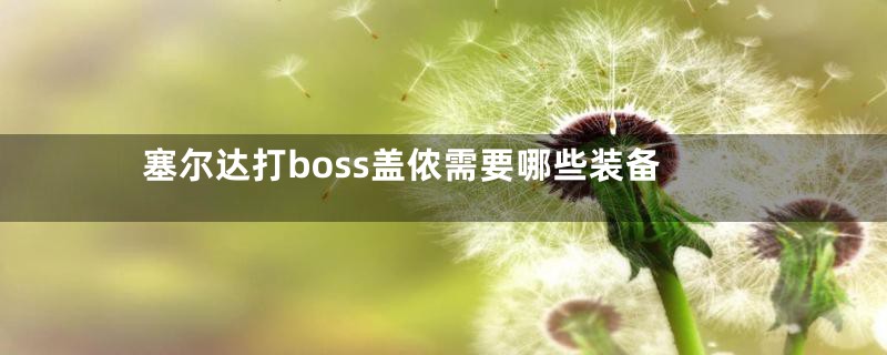 塞尔达打boss盖侬需要哪些装备