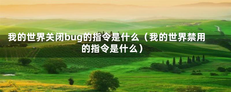 我的世界关闭bug的指令是什么（我的世界禁用的指令是什么）