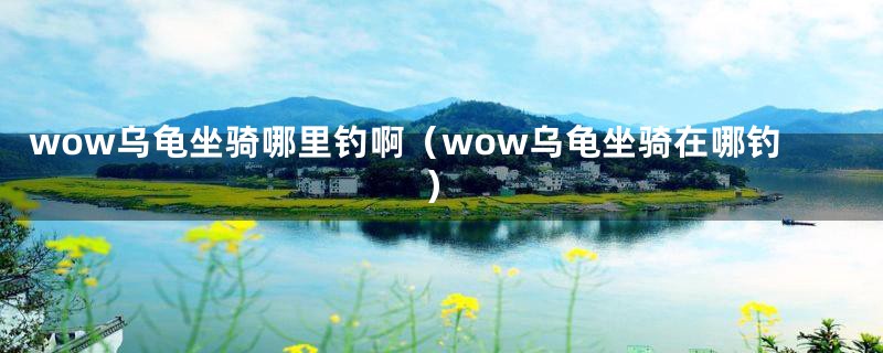 wow乌龟坐骑哪里钓啊（wow乌龟坐骑在哪钓）