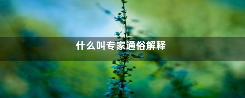 什么叫专家通俗解释