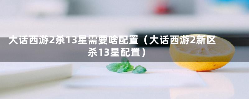 大话西游2杀13星需要啥配置（大话西游2新区杀13星配置）