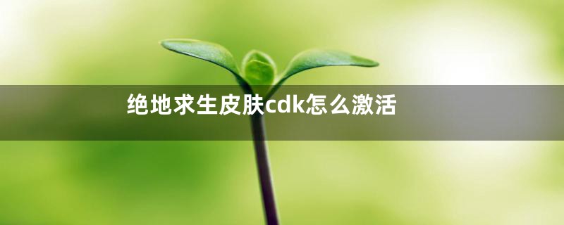 绝地求生皮肤cdk怎么激活