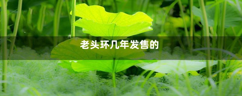 老头环几年发售的