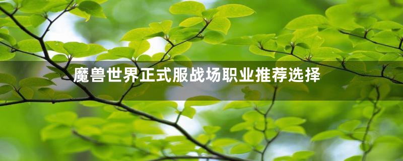 魔兽世界正式服战场职业推荐选择