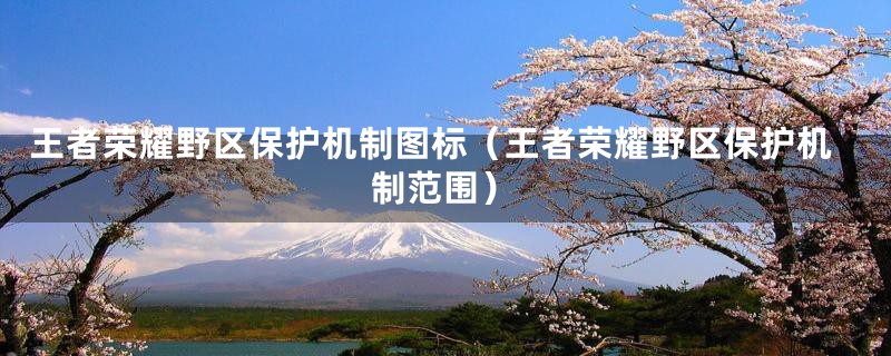 王者荣耀野区保护机制图标（王者荣耀野区保护机制范围）