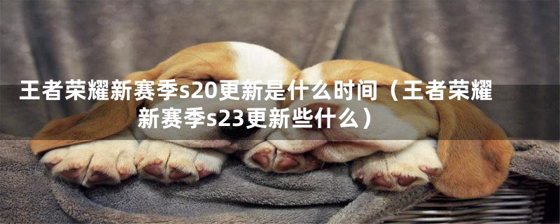 王者荣耀新赛季s20更新是什么时间（王者荣耀新赛季s23更新些什么）