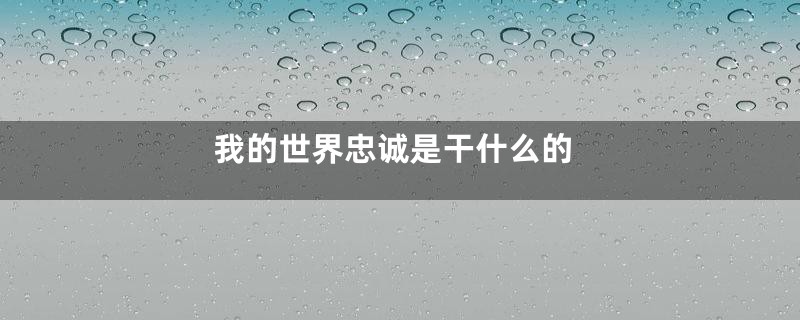 我的世界忠诚是干什么的