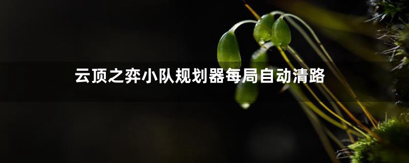 云顶之弈小队规划器每局自动清路