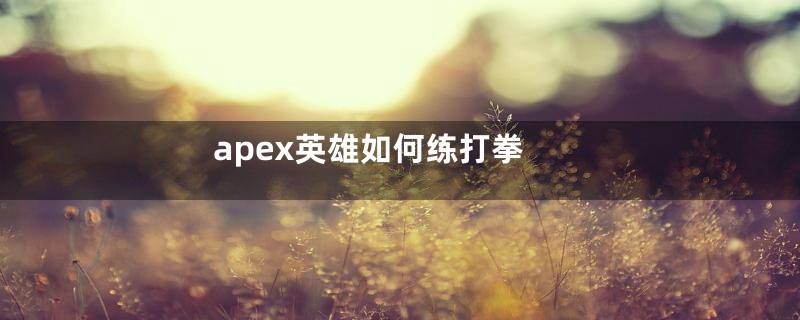 apex英雄如何练打拳