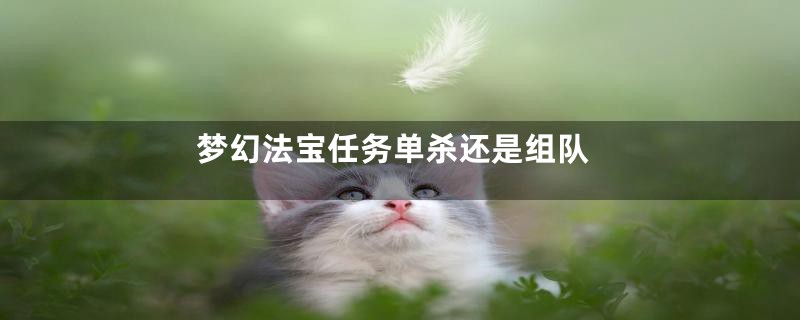 梦幻法宝任务单杀还是组队