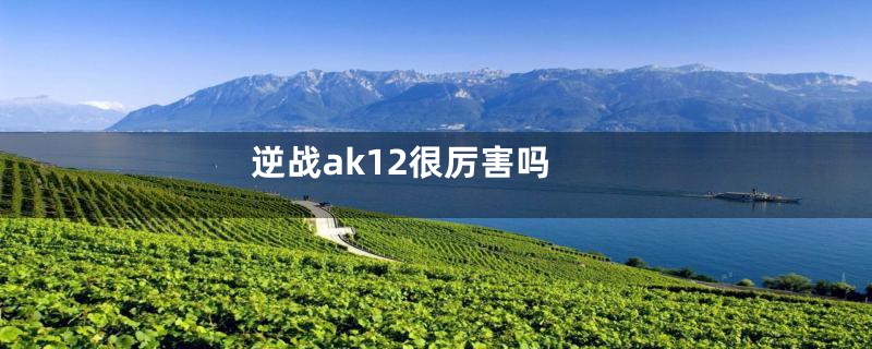 逆战ak12很厉害吗