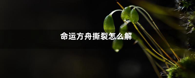 命运方舟撕裂怎么解