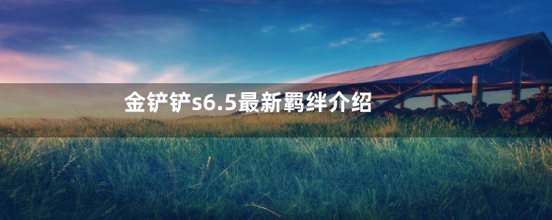 金铲铲s6.5最新羁绊介绍