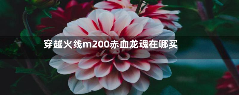 穿越火线m200赤血龙魂在哪买