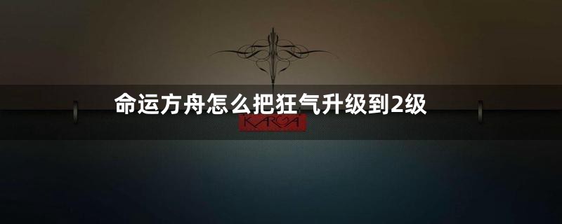 命运方舟怎么把狂气升级到2级