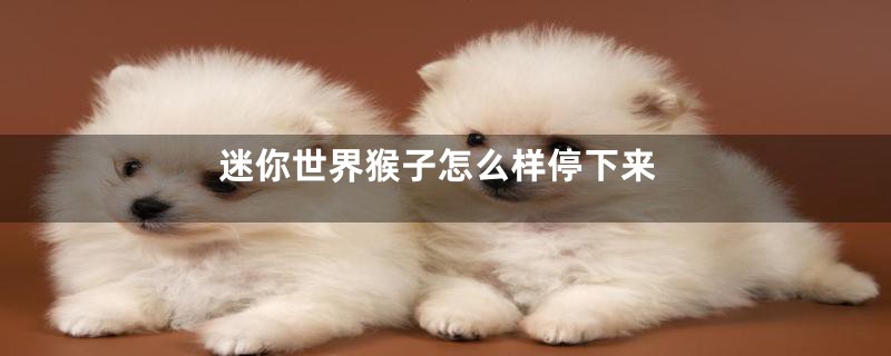 迷你世界猴子怎么样停下来