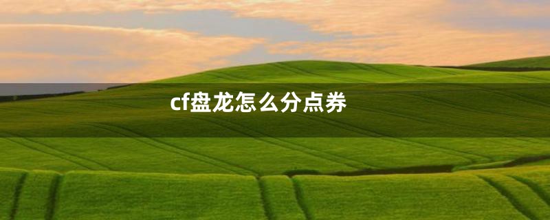 cf盘龙怎么分点券